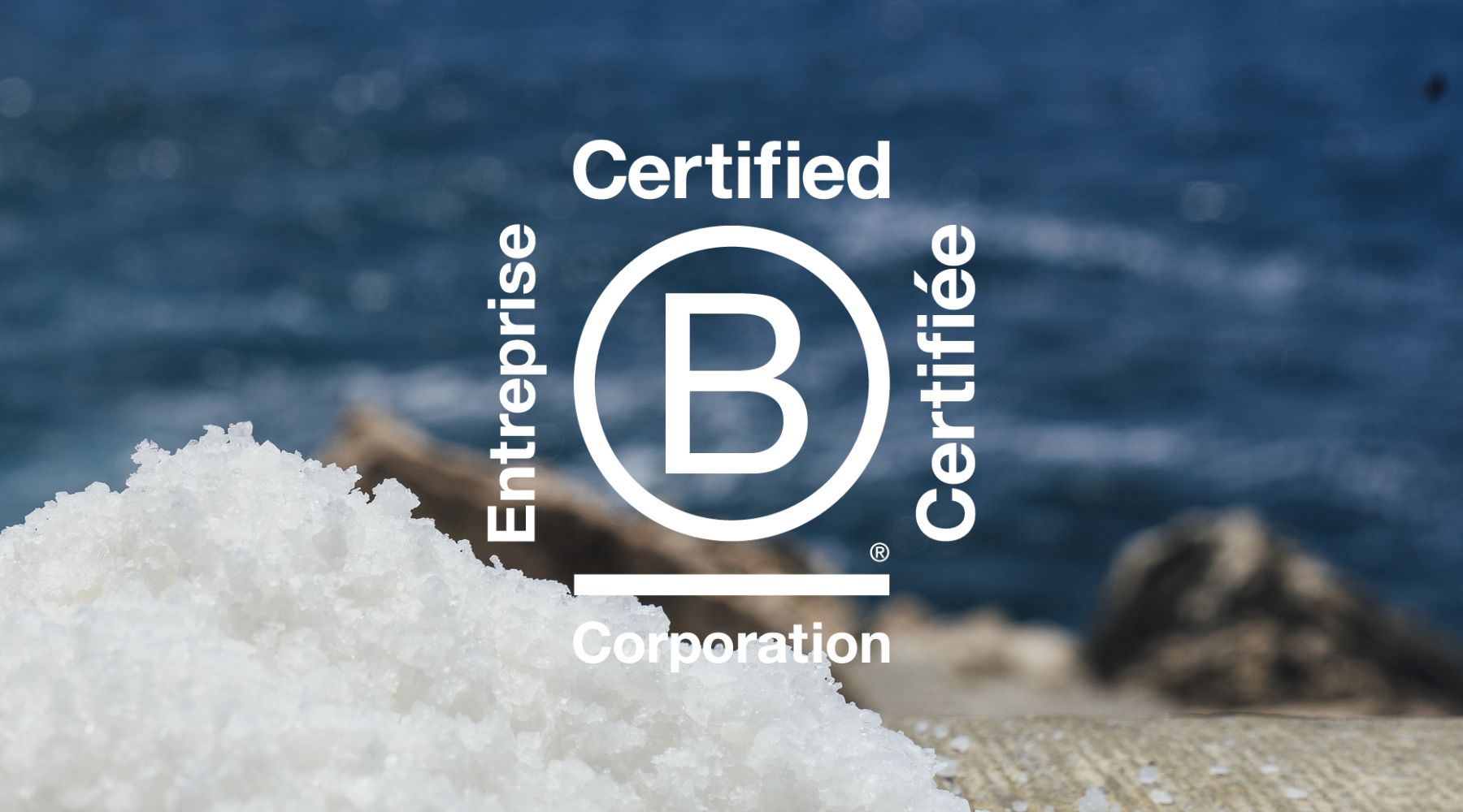 Alcyon est maintenant certifiée B Corp™ : un pas de plus vers une alimentation durable
