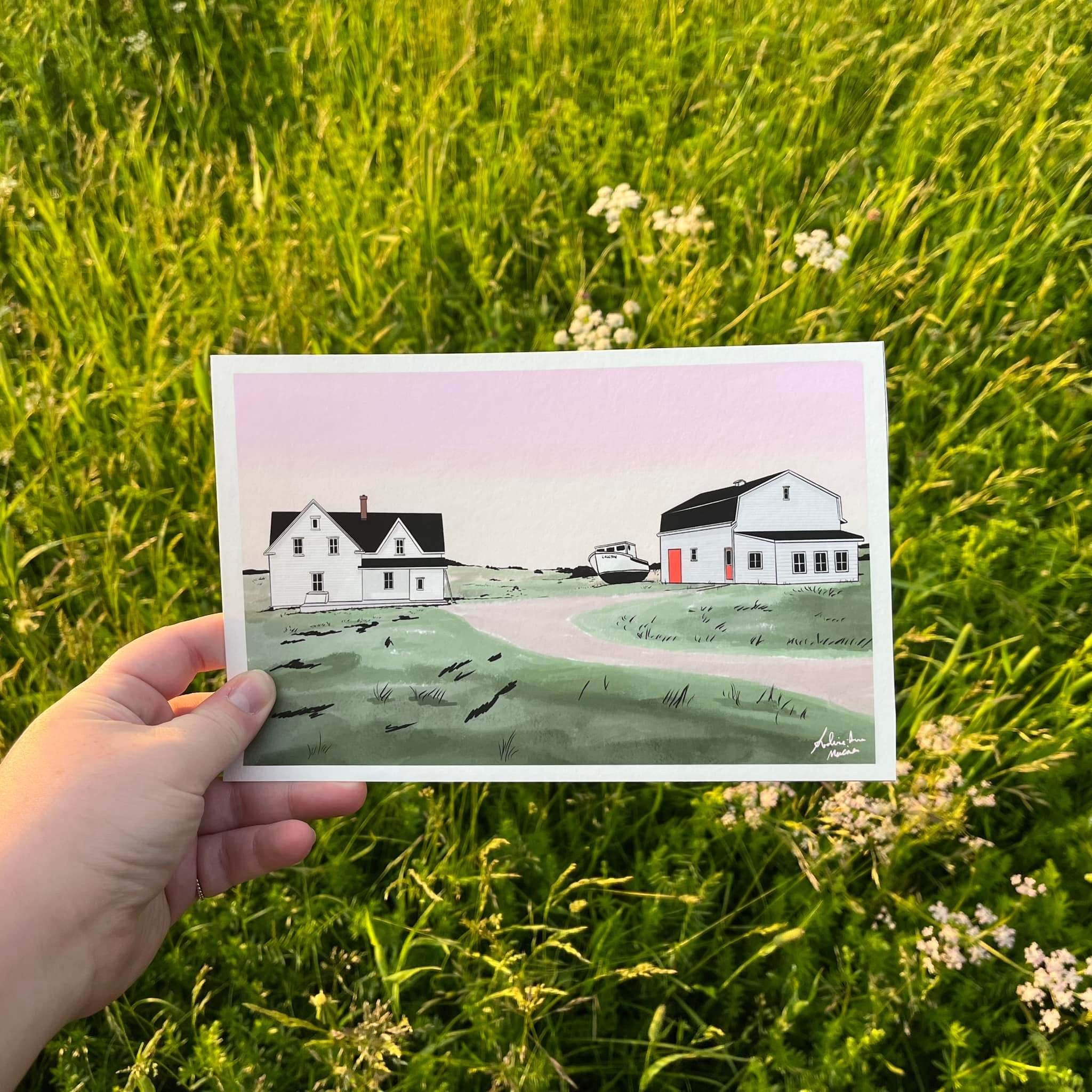 Cartes postales Alcyon - Illustrations par Andrée-Anne Mercier
