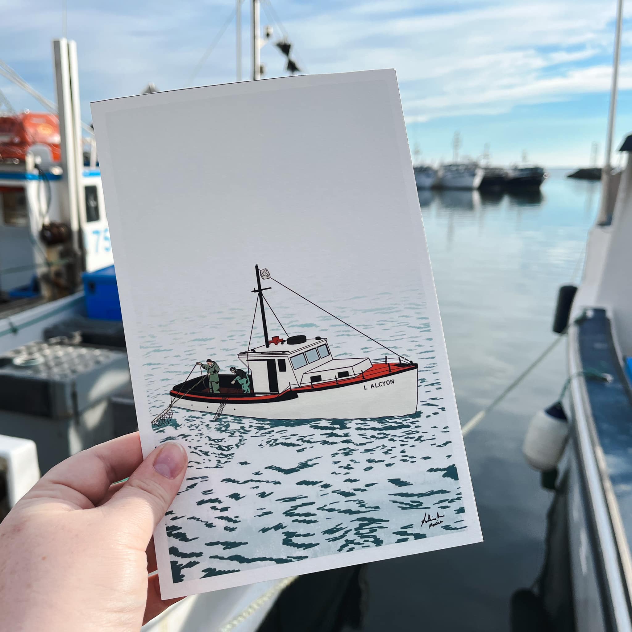 Cartes postales Alcyon - Illustrations par Andrée-Anne Mercier