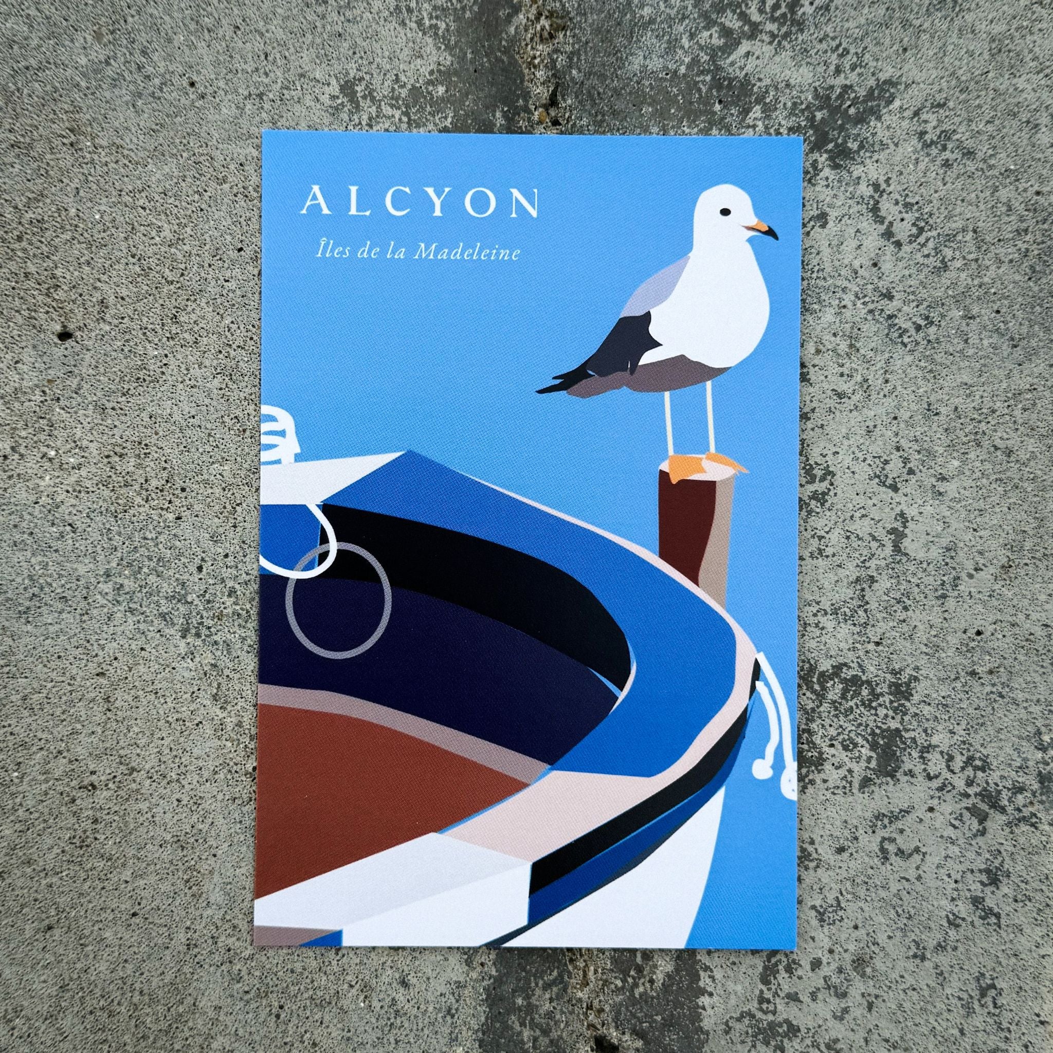 Postcard Seabird