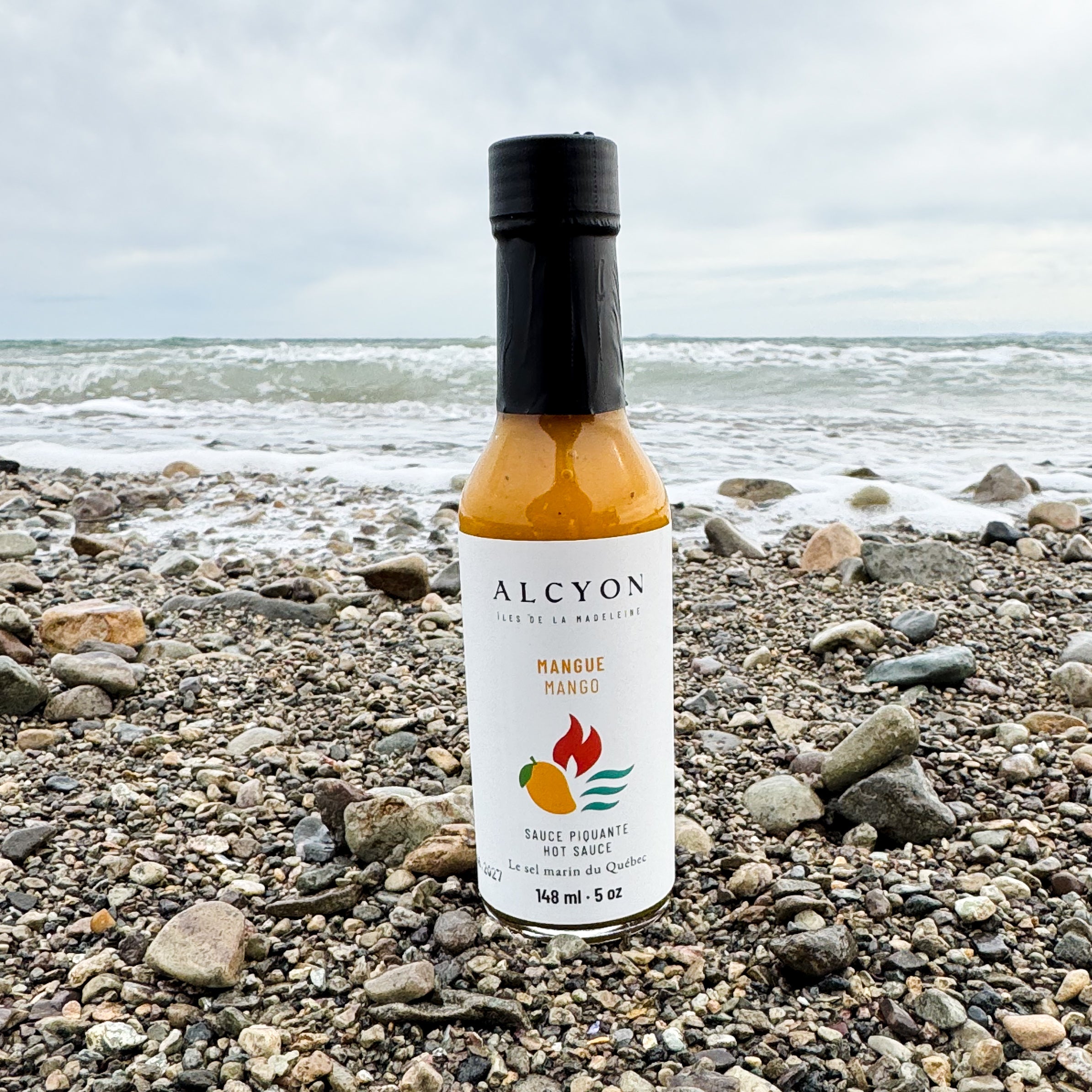 Sauce piquante Mangue - Panier