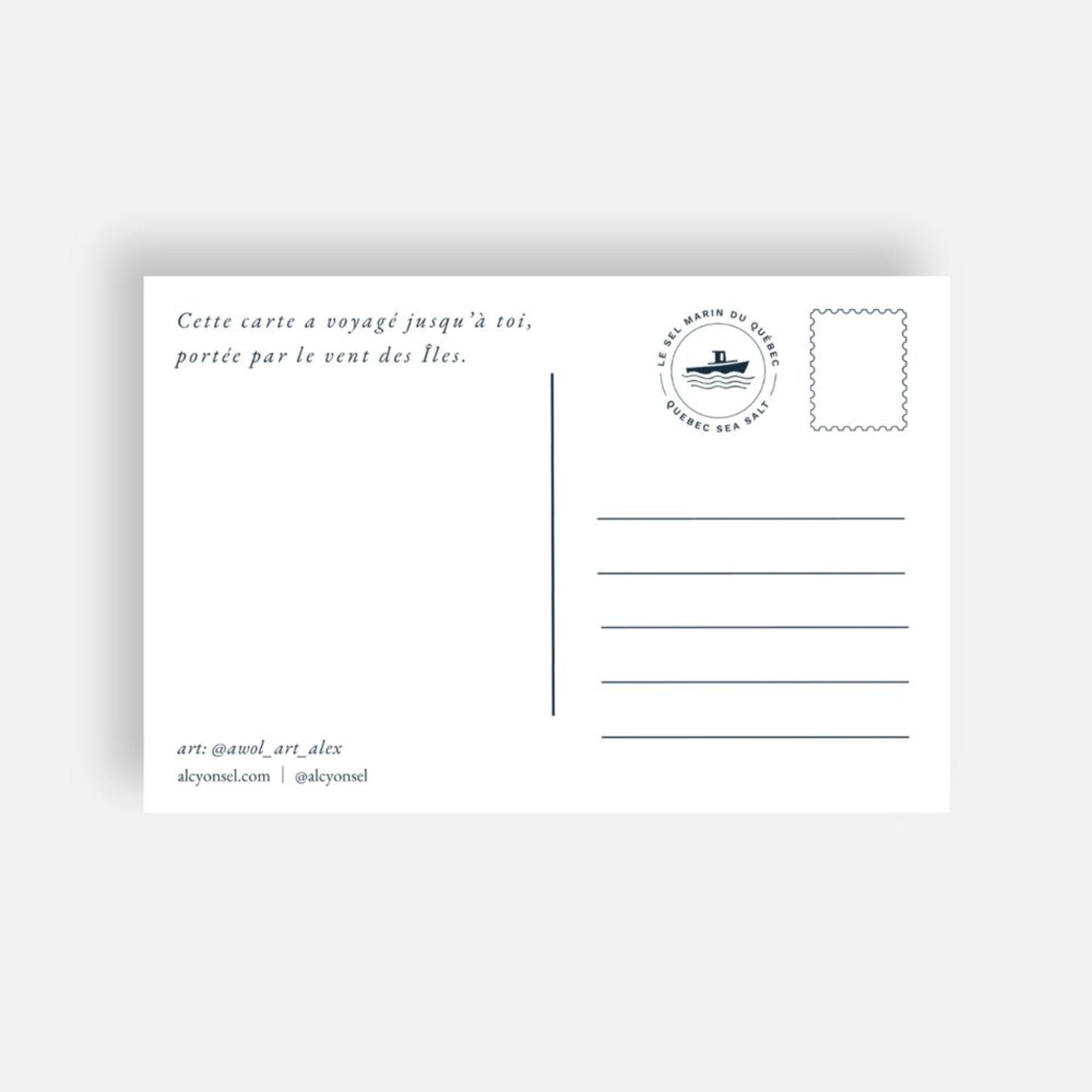 Postcard Here We Take Life with a Grain of Salt